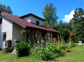 Mazurskidom Zapiecek in Świętajno